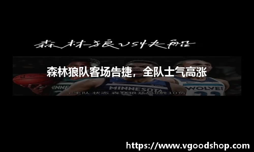 龙珠足球直播