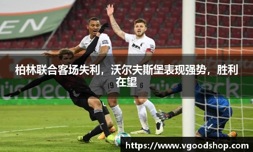 龙珠体育直播