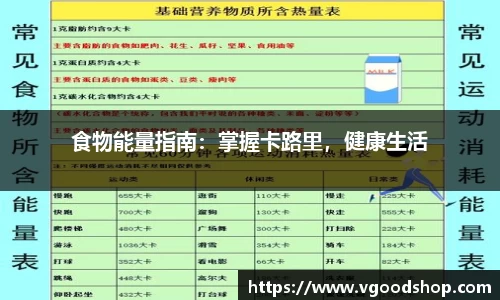 龙珠足球直播