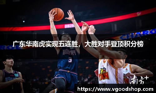 龙珠体育直播在线观看