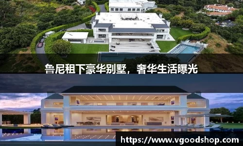 龙珠足球直播
