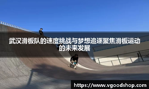 龙珠体育