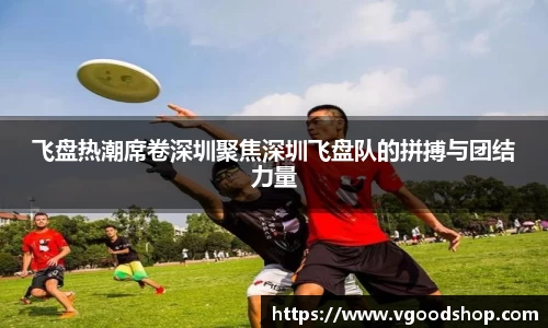 龙珠体育直播