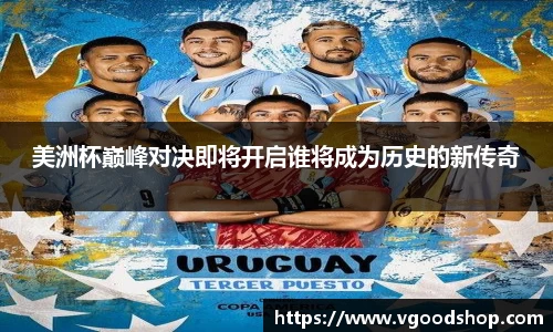 龙珠体育直播在线观看