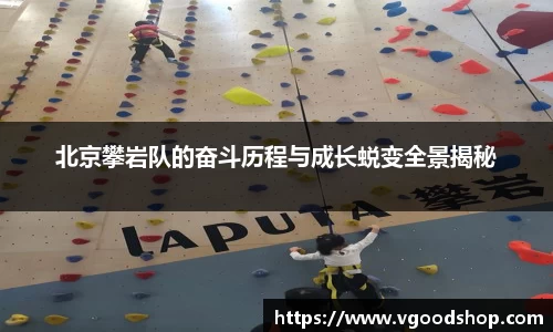 龙珠足球直播