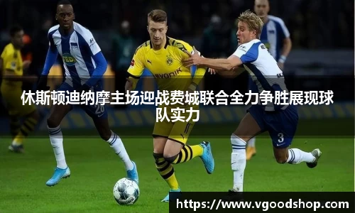 龙珠体育直播