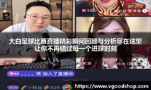 龙珠体育