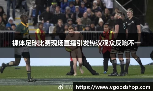龙珠体育直播