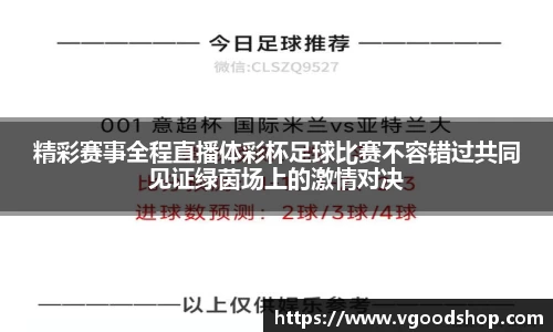 龙珠足球直播