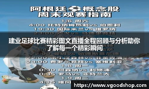 龙珠体育