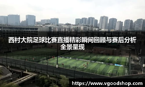 龙珠体育直播