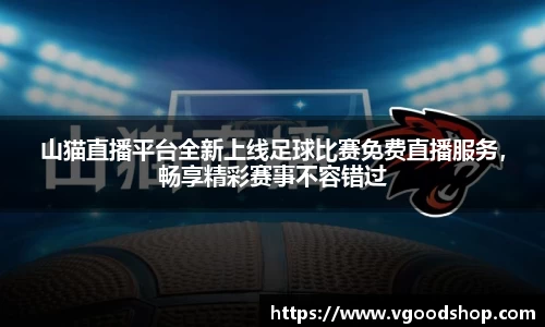 龙珠体育