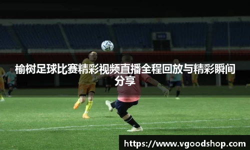 龙珠体育