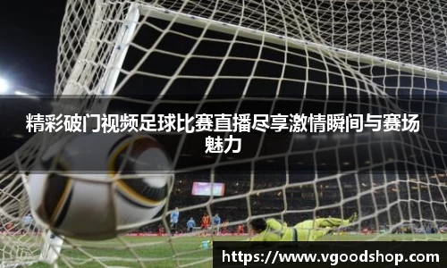 龙珠体育