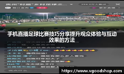 龙珠体育直播