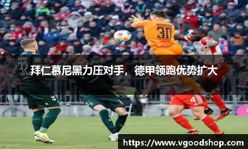 龙珠体育直播