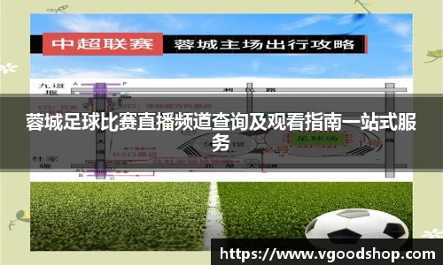 龙珠体育