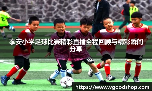 龙珠体育