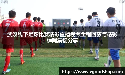 龙珠体育直播
