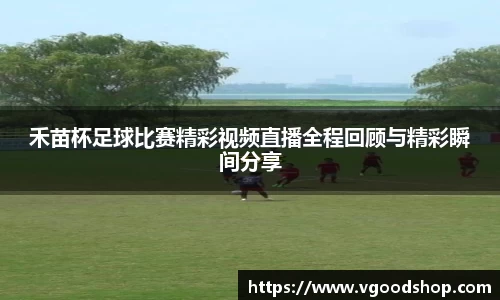 龙珠足球直播