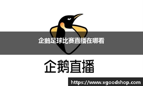 龙珠体育直播在线观看