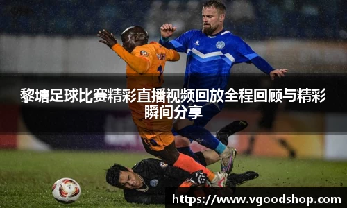 龙珠体育直播