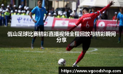 龙珠体育直播