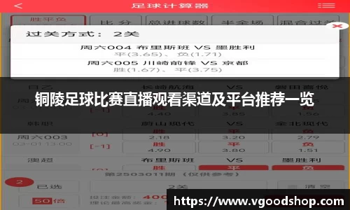 龙珠体育直播在线观看
