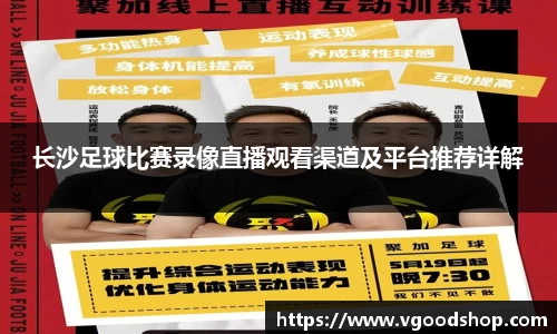 龙珠体育