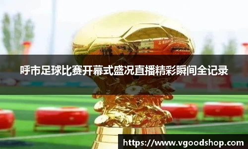 龙珠体育直播在线观看