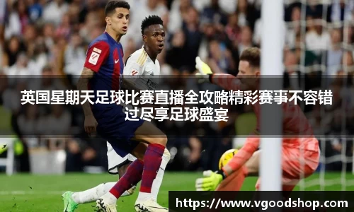 龙珠体育