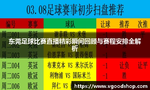 龙珠体育直播