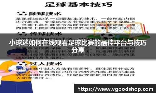 龙珠体育直播