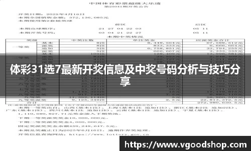 龙珠足球直播
