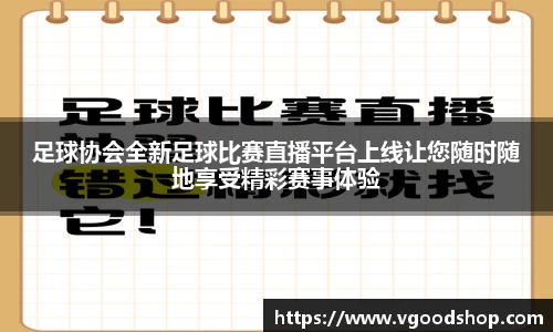 龙珠足球直播