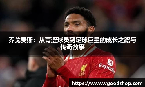 龙珠体育