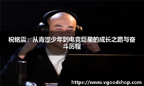 龙珠体育直播在线观看
