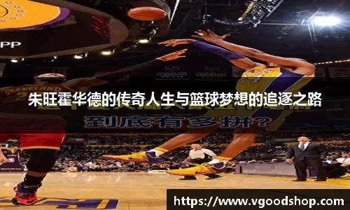 龙珠体育直播