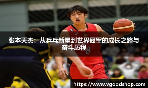 龙珠体育直播在线观看