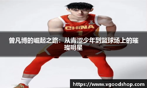 龙珠体育直播在线观看